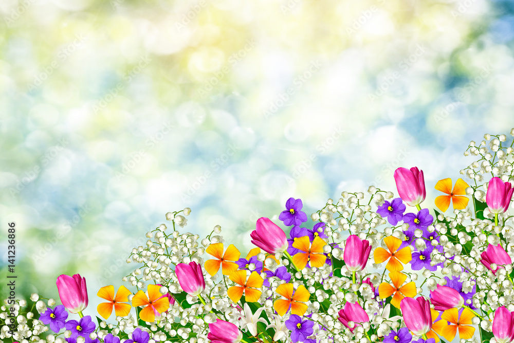 Obraz Kolorowe wiosenne kwiaty