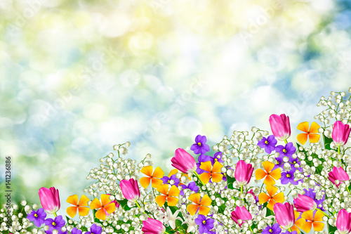 Obraz na płótnie Kolorowe wiosenne kwiaty