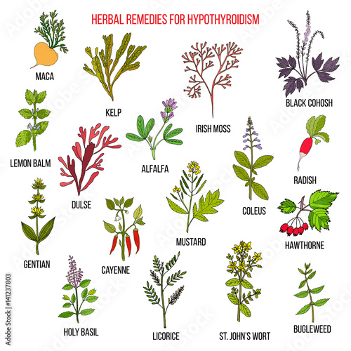 Best herbal remedies for hypothyroidism photo