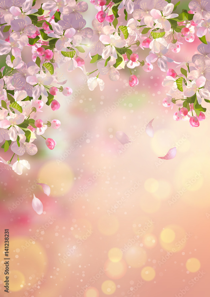 Spring Apple blossom