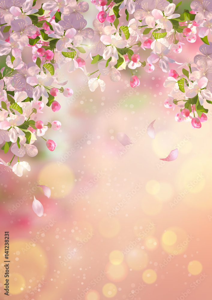 Spring Apple blossom Spring Apple blossom