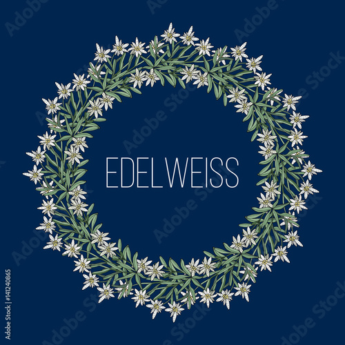 Fototapeta Naklejka Na Ścianę i Meble -  Summer wreath with edelweiss flowers