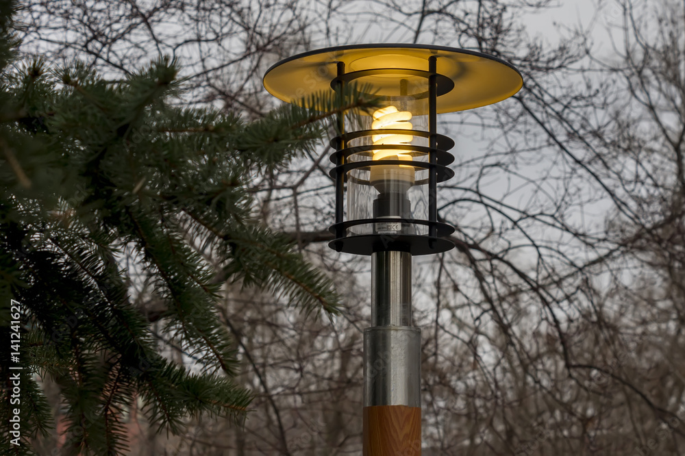Street light in the park