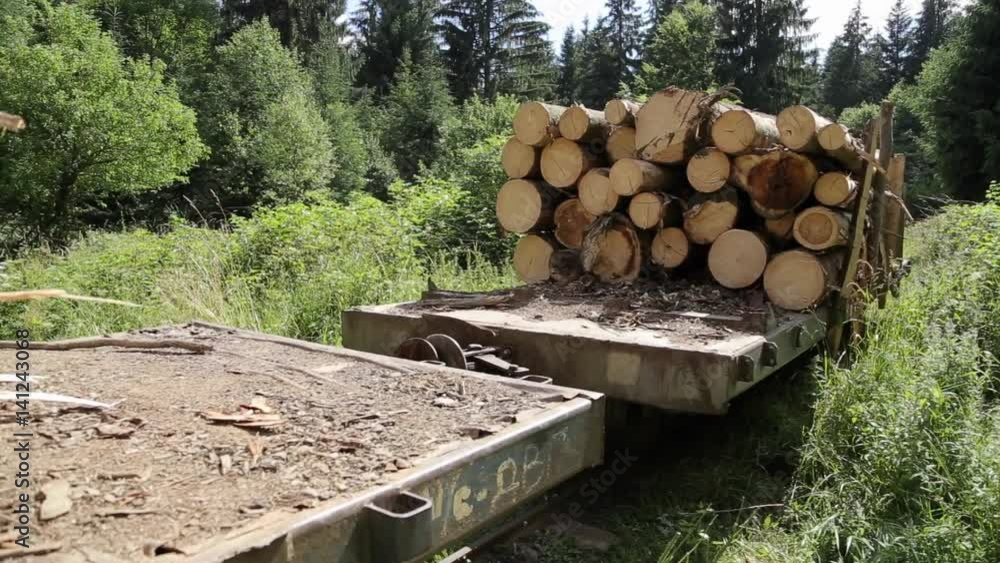 A logging train in a woodland area hauls stacked wooden logs and tree trunks A logging train in a woodland area hauls stacked wooden logs and tree trunks