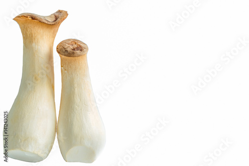 Вёшенка степная короле́вская или грибы еринги на белом фоне