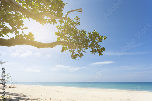 Fototapeta Naklejka Na Ścianę i Meble -  Beautiful tropical beach with trees.