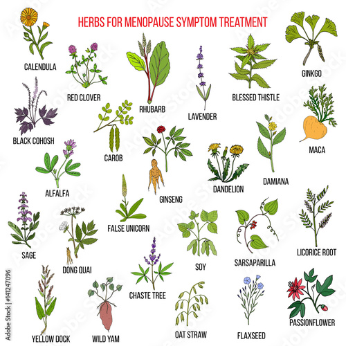 Best herbs for menopause symptom treatment