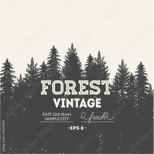 Pine forest. Journey design template.