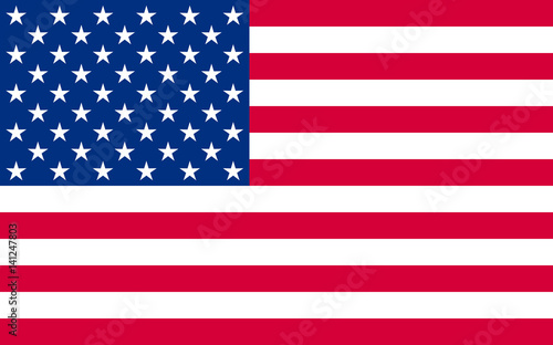 National political official US flag