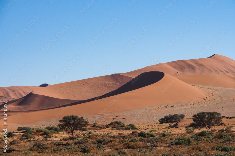 Namibia - Dead Vlei