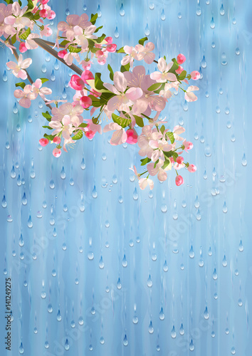Spring Flowers Rain Vector
