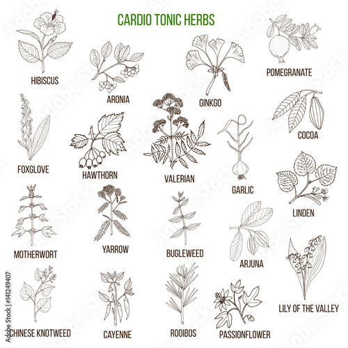 Best herbs for cardio tonic