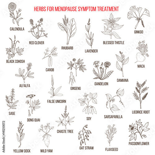 Best herbs for menopause symptom treatment
