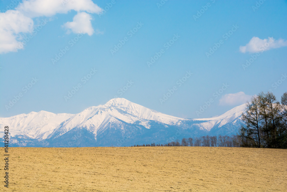 Fototapeta premium 残雪の山並みと春の畑