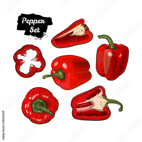 Hand drawn sketch style bell pepper set isolated on white background. Ripe and sliced red peppers.
