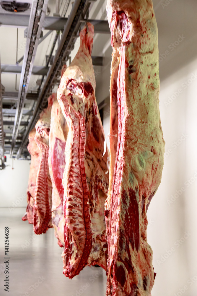 The meat processing plant. carcasses of beef hang on hooks. Stock Photo