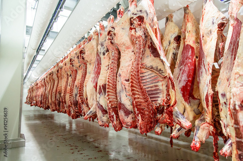 Tableau sur toile The meat processing plant. carcasses of beef hang on hooks.