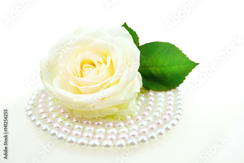 Beautiful white rose with green leaf on a pearl pink necklace lined in circle isolated on white background macro. Original concept is the idea of a gentle artistic art image for congratulations.