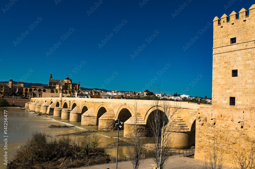 old roman bridge over the guadalquivir river in cordoba, andalusia, spain
