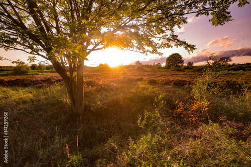 Kenny Pool Fotografie