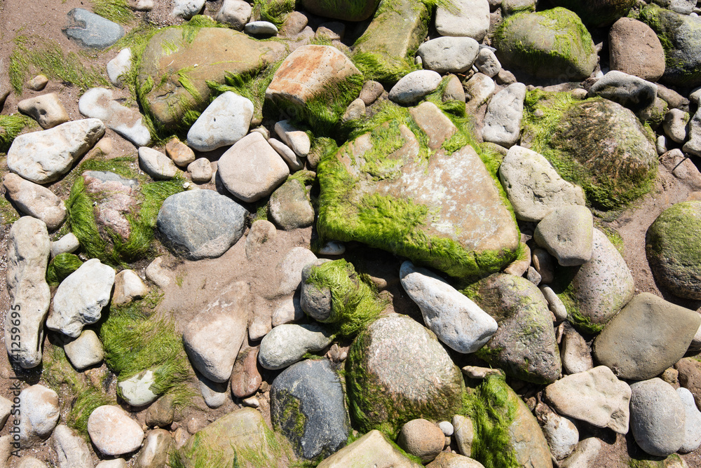 Close up of the stones on the beach