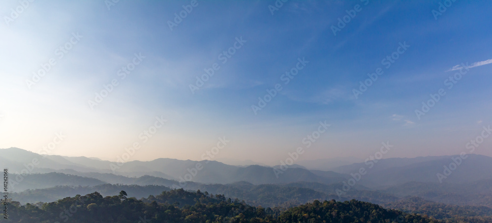 Obraz premium Blue sky on Hill Forest