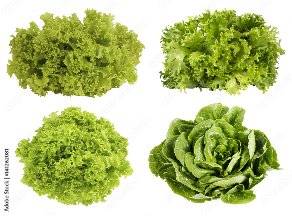 Obraz premium Fresh green lettuce isolated on white background. Set of different foreshortening.