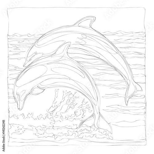 beautiful dolphins line art continuous line drawing