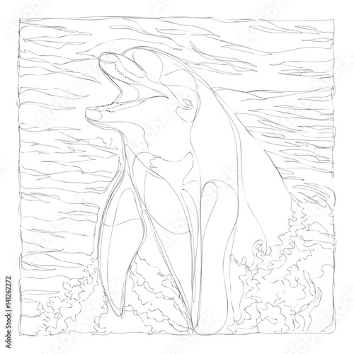 beautiful dolphins line art continuous line drawing