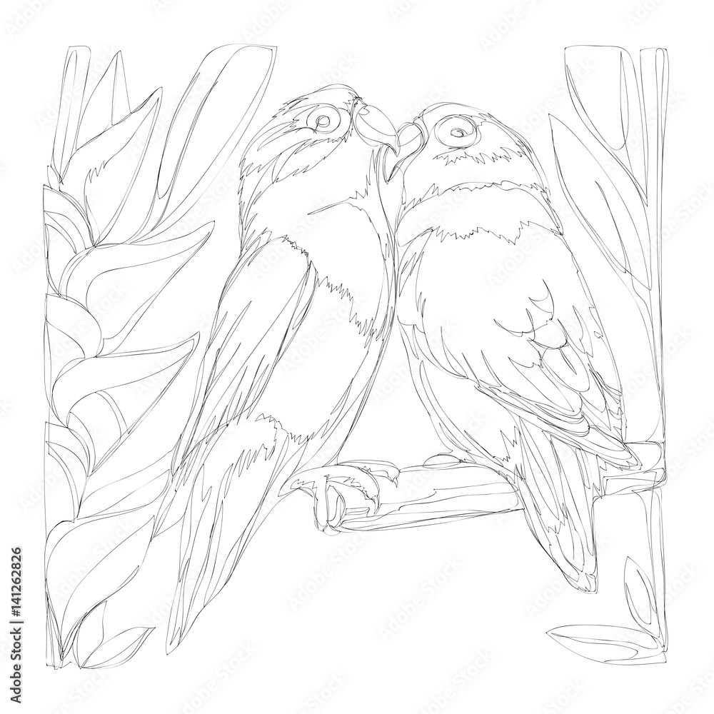 amazing parrots line art continuous line drawing