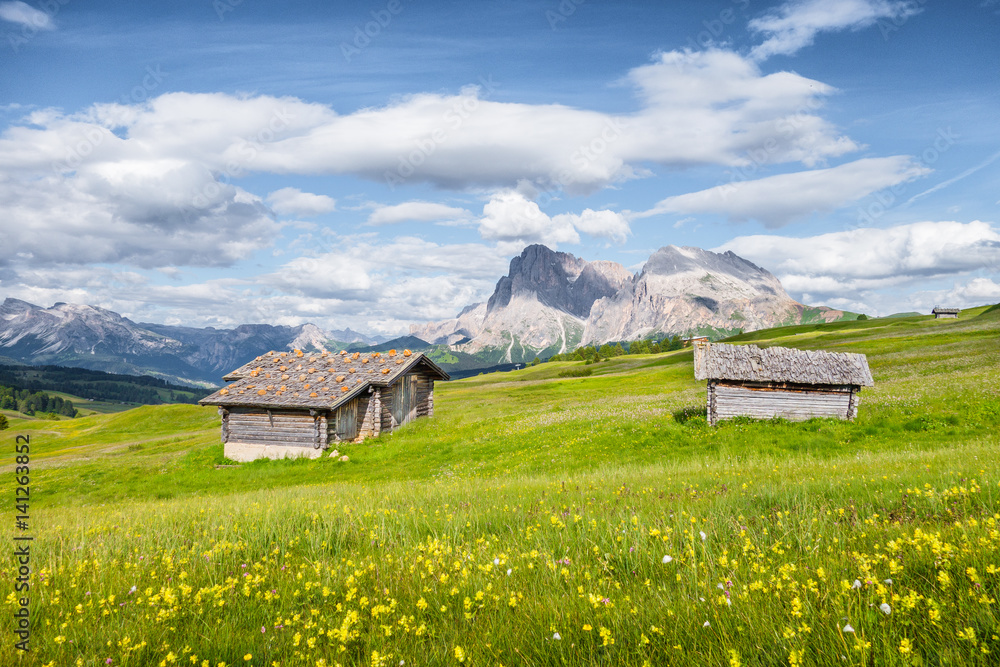 Alpe di Siusi, Dolomites, South Tyrol, Italy Alpe di Siusi, Dolomites, South Tyrol, Italy