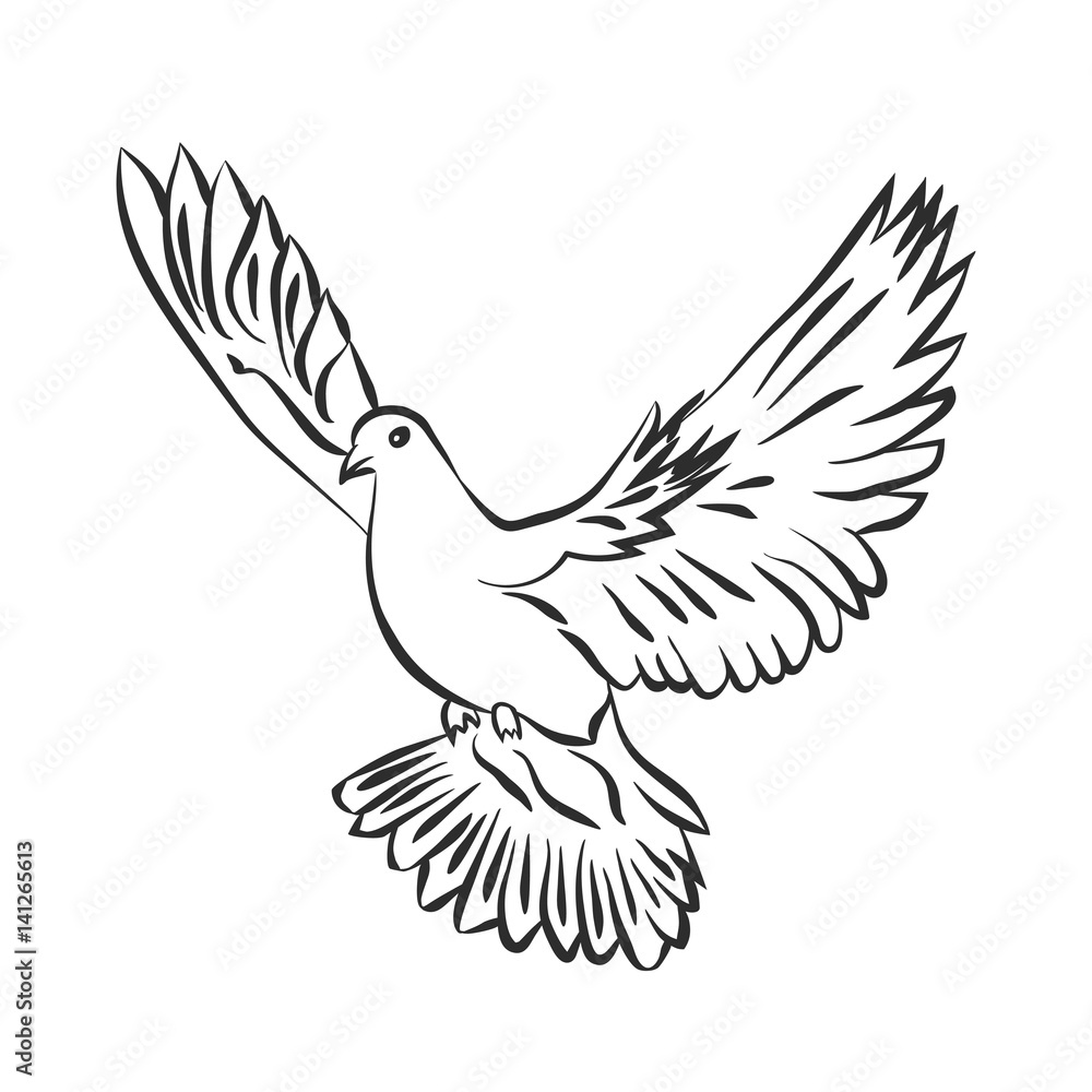 Flying dove vector sketch. Dove of Peace. SVector illustration Flying dove vector sketch. Dove of Peace. SVector illustration