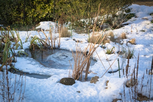 Gartenteich, im Winter photo