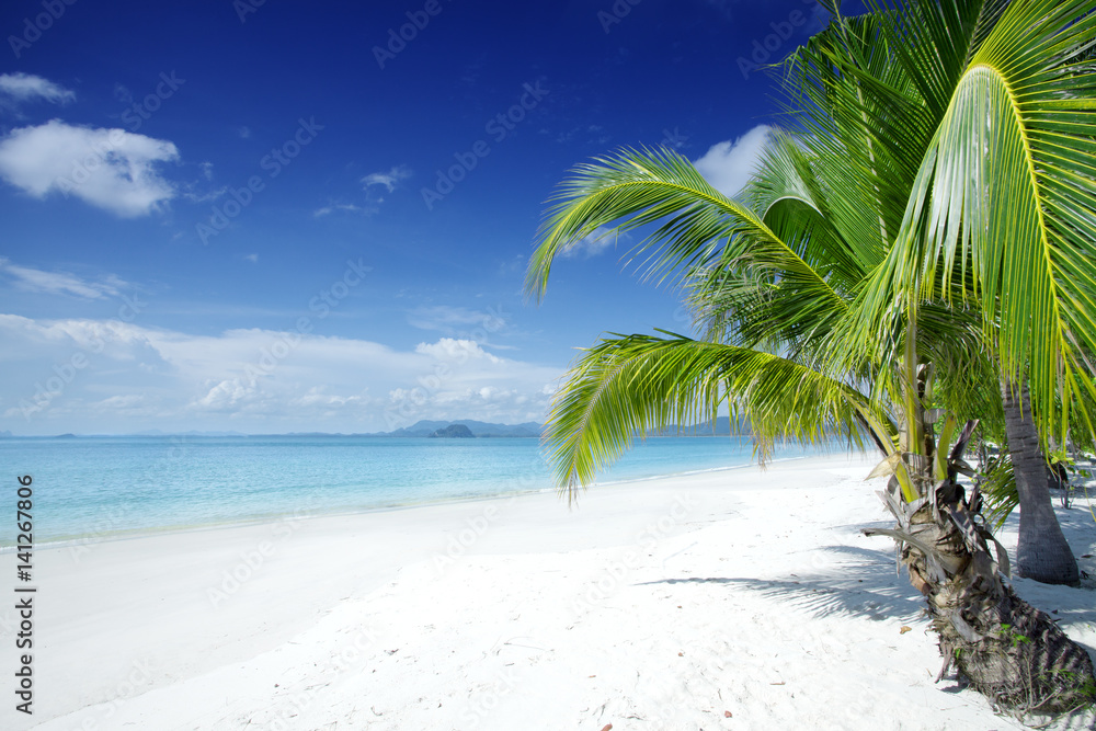 Obraz premium View of nice tropical beach with some palms