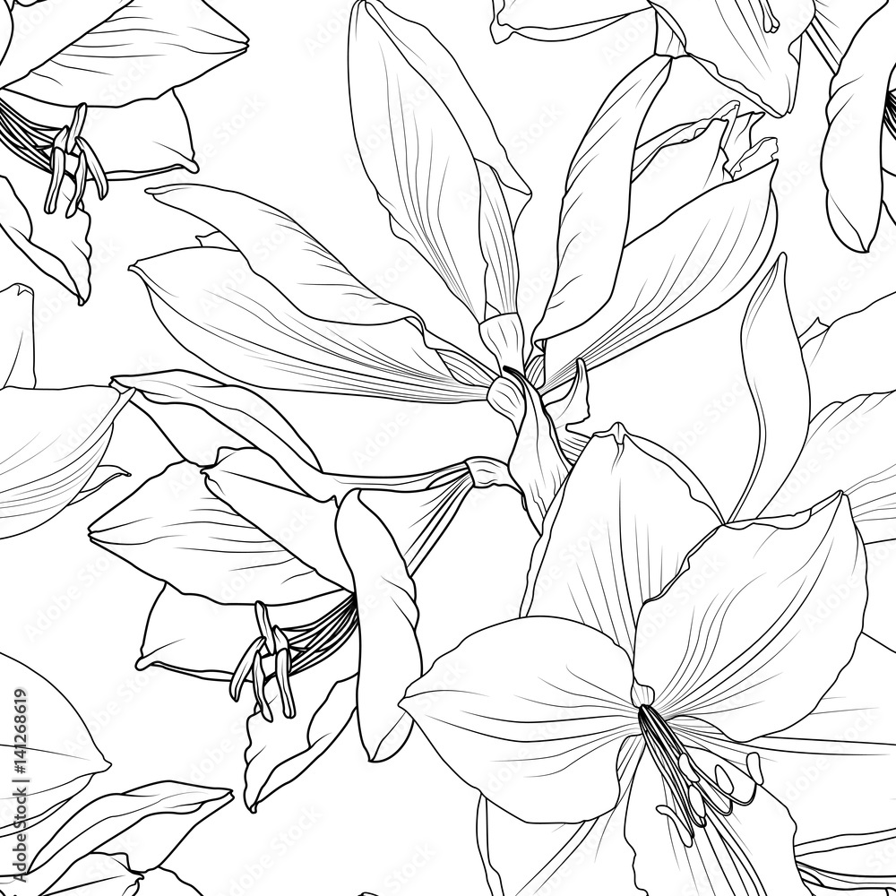 Lilly flowers close up macro view seamless pattern. Hippeastrum floral garland foliage outline sketch drawing. Vector design illustration for packaging, wrapping, textile, fabric, fashion, decoration.