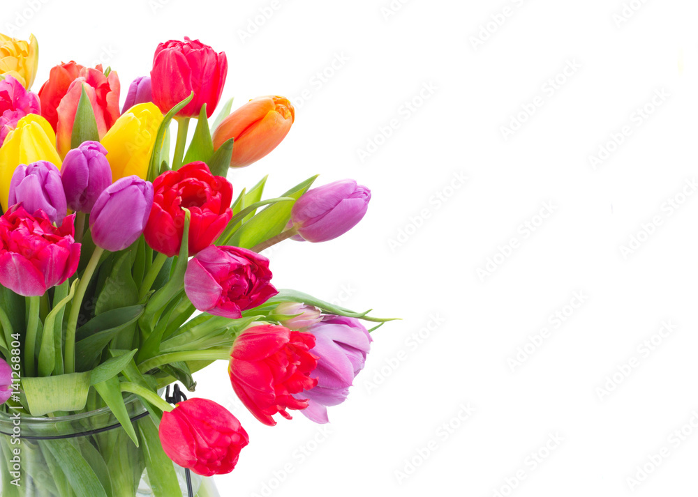 bouquet of bright spring tulips close up isolated on white background