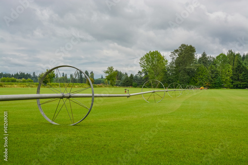 English lawn growing on a farm. Green lawn with irrigation system over the field on cloudy summer day photo