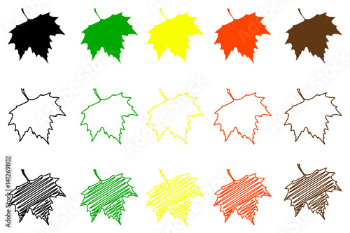 Sycamore leaf - color set, sycamore leaf, photo