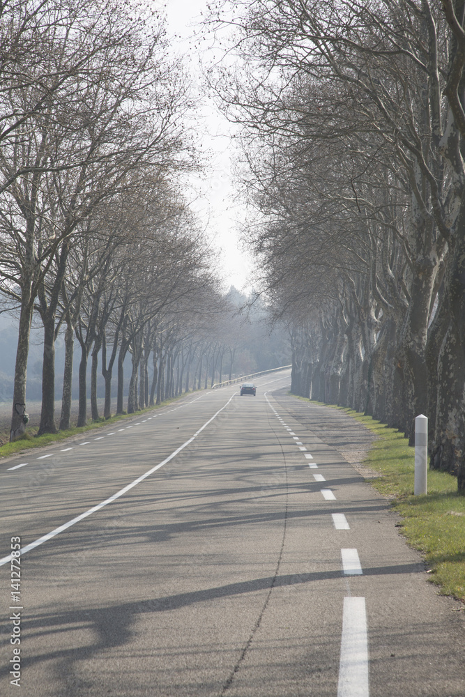 Fototapeta premium Open Road outside Uzes; Provence