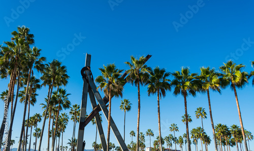 Palm trees in Venice beach
