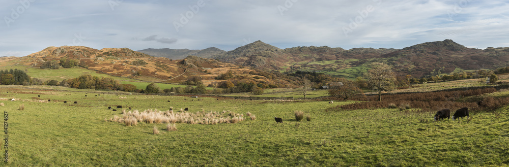 Fototapeta premium Stunning tourism landscape image of Lake District during Autumn Fall in England