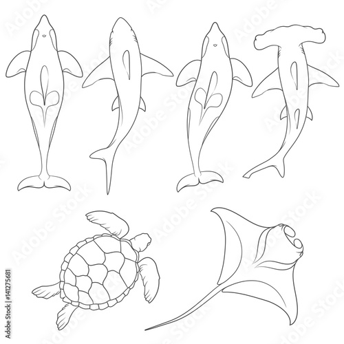 Set of images with marine animals. Vector black and white isolated objects on white background.