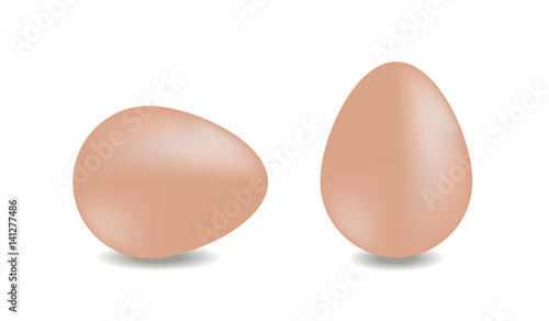 Two vector realistic eggs isolated on white background