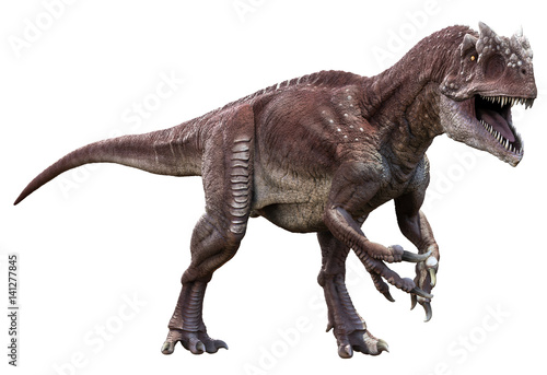 3D rendering of Allosaurus walking to viewer  isolated on white background.