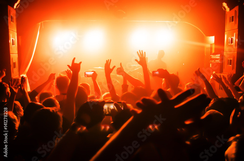 silhouettes of people at a rock festival concert © Евгений Вдовин