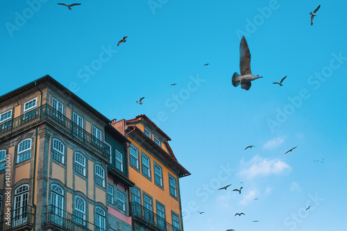 Houses in old Porto downtown, Portugal. Seagulls.