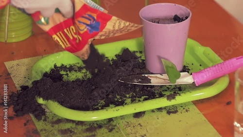 Beautiful man's hands with rag gloves pour black soil from a plastic bag with inscriptions on a green tray. The composition Rozwi blade with a handle, pink glass pot, black soil, slow motion photo