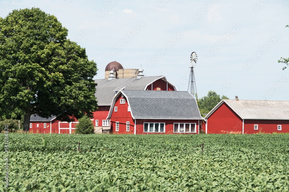Farm with Windmill Farm with Windmill