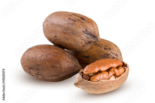 four pecan nuts isolated on white background