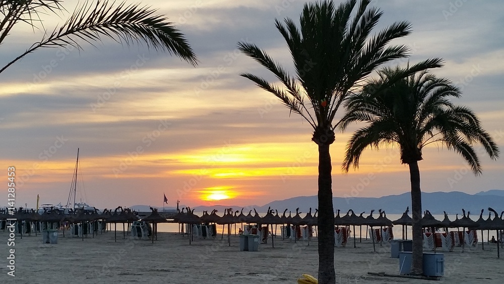 Naklejka premium Sunset